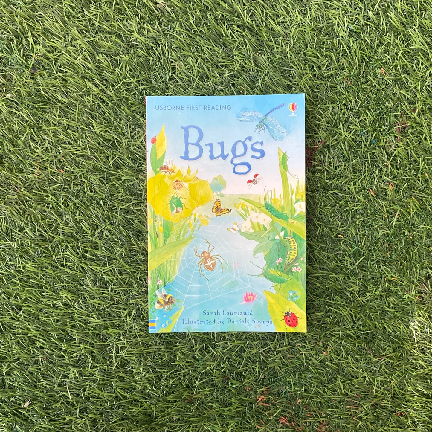 Backyard Bugs ( 1-3 Years)